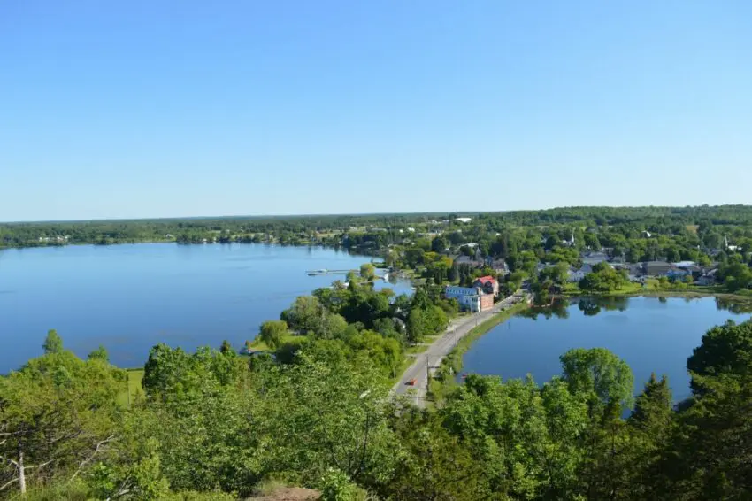 green trees near body of water during daytime